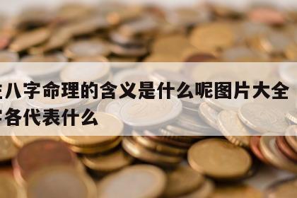 四柱八字命理的含义是什么呢图片大全 四柱八字各代表什么