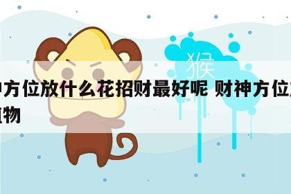 财神方位放什么花招财最好呢 财神方位放什么植物