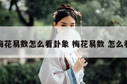 梅花易数怎么看卦象 梅花易数 怎么看