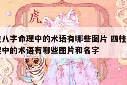 四柱八字命理中的术语有哪些图片 四柱八字命理中的术语有哪些图片和名字