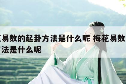 梅花易数的起卦方法是什么呢 梅花易数的起卦方法是什么呢