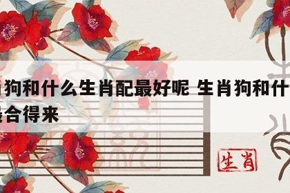 生肖狗和什么生肖配最好呢 生肖狗和什么生肖最合得来