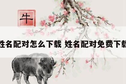 姓名配对怎么下载 姓名配对免费下载