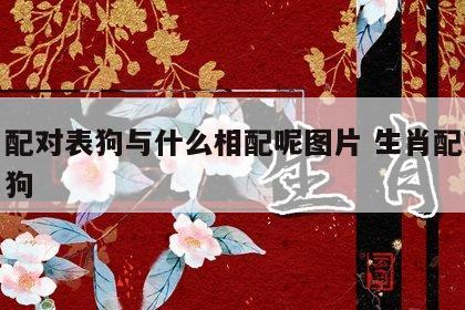 生肖配对表狗与什么相配呢图片 生肖配对表生肖狗