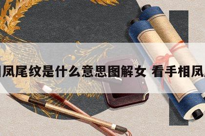 手相凤尾纹是什么意思图解女 看手相凤尾纹