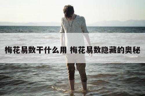 梅花易数干什么用 梅花易数隐藏的奥秘
