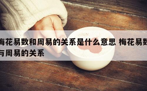 梅花易数和周易的关系是什么意思 梅花易数与周易的关系