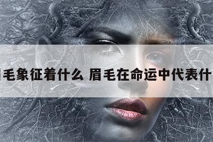 眉毛象征着什么 眉毛在命运中代表什么