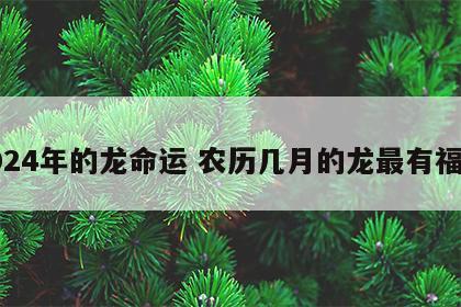 2024年的龙命运 农历几月的龙最有福气