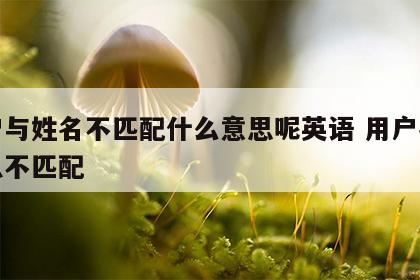 用户与姓名不匹配什么意思呢英语 用户名和信息不匹配