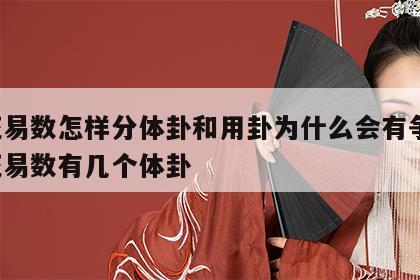 梅花易数怎样分体卦和用卦为什么会有争议 梅花易数有几个体卦