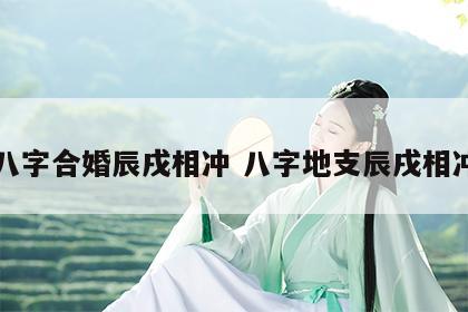 八字合婚辰戌相冲 八字地支辰戌相冲