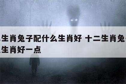 十二生肖兔子配什么生肖好 十二生肖兔子配什么生肖好一点