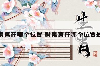 财帛宫在哪个位置 财帛宫在哪个位置最好