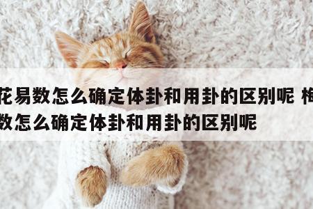 梅花易数怎么确定体卦和用卦的区别呢 梅花易数怎么确定体卦和用卦的区别呢