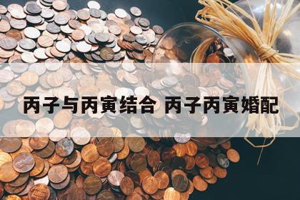 丙子与丙寅结合 丙子丙寅婚配