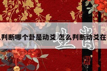 怎么判断哪个卦是动爻 怎么判断动爻在哪挂