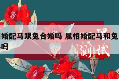 属相婚配马跟兔合婚吗 属相婚配马和兔能在一起吗