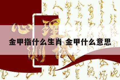 金甲指什么生肖 金甲什么意思