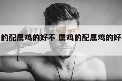 属鸡的配属鸡的好不 属鸡的配属鸡的好不好?