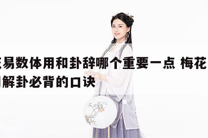 梅花易数体用和卦辞哪个重要一点 梅花易数体用解卦必背的口诀