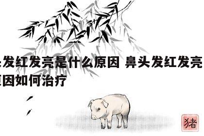 鼻头发红发亮是什么原因 鼻头发红发亮是什么原因如何治疗