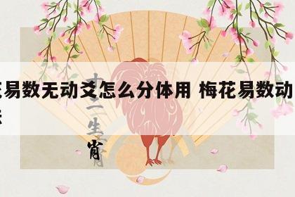梅花易数无动爻怎么分体用 梅花易数动爻的断法