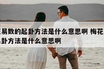 梅花易数的起卦方法是什么意思啊 梅花易数的起卦方法是什么意思啊