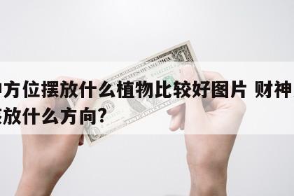 财神方位摆放什么植物比较好图片 财神方位应该放什么方向?