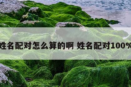 姓名配对怎么算的啊 姓名配对100%
