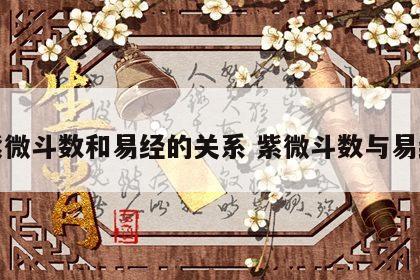 紫微斗数和易经的关系 紫微斗数与易经