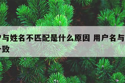 用户与姓名不匹配是什么原因 用户名与姓名不一致