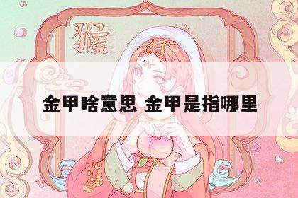 金甲啥意思 金甲是指哪里