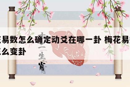 梅花易数怎么确定动爻在哪一卦 梅花易数动爻怎么变卦
