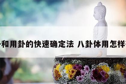 体卦和用卦的快速确定法 八卦体用怎样确定