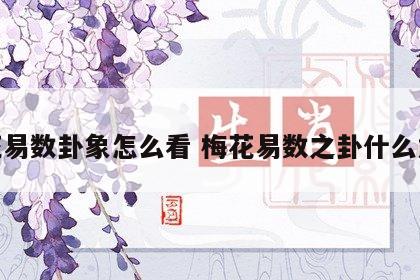 梅花易数卦象怎么看 梅花易数之卦什么意思