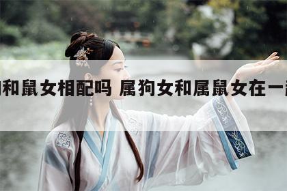 属狗和鼠女相配吗 属狗女和属鼠女在一起好吗