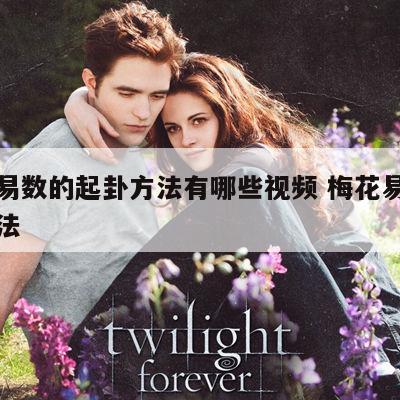 梅花易数的起卦方法有哪些视频 梅花易术起卦方法