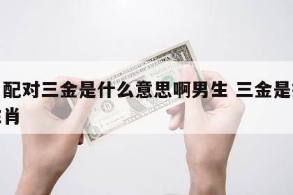 生肖配对三金是什么意思啊男生 三金是指什么生肖