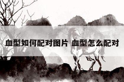 血型如何配对图片 血型怎么配对