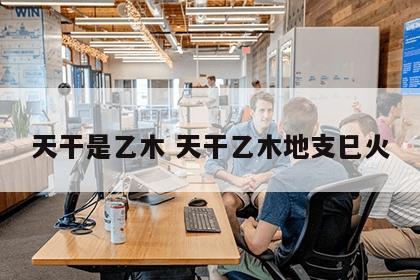 天干是乙木 天干乙木地支巳火