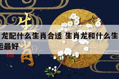 生肖龙配什么生肖合适 生肖龙和什么生肖配,财运最好