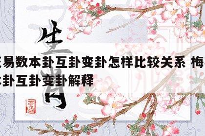 梅花易数本卦互卦变卦怎样比较关系 梅花易数本卦互卦变卦解释