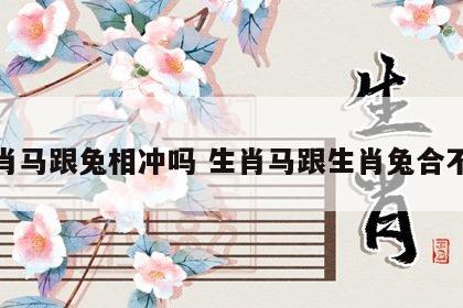 生肖马跟兔相冲吗 生肖马跟生肖兔合不合