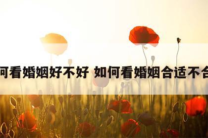 如何看婚姻好不好 如何看婚姻合适不合适