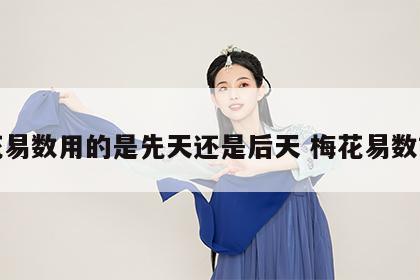 梅花易数用的是先天还是后天 梅花易数前身