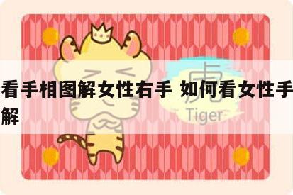 怎样看手相图解女性右手 如何看女性手相算命图解