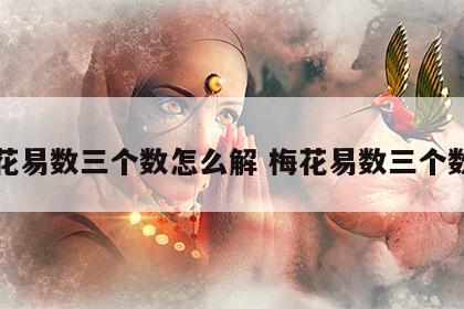 梅花易数三个数怎么解 梅花易数三个数字