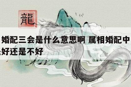 生肖婚配三会是什么意思啊 属相婚配中的三会是好还是不好