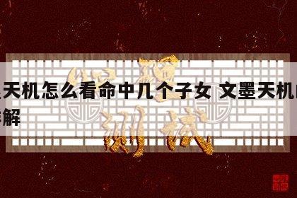 文墨天机怎么看命中几个子女 文墨天机的天机详解
